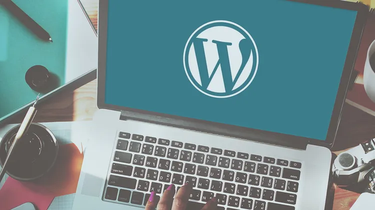 WordPress development